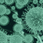 Bacteria and germs