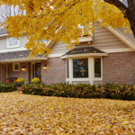 Leaves falling outside home