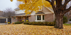 Leaves falling outside home