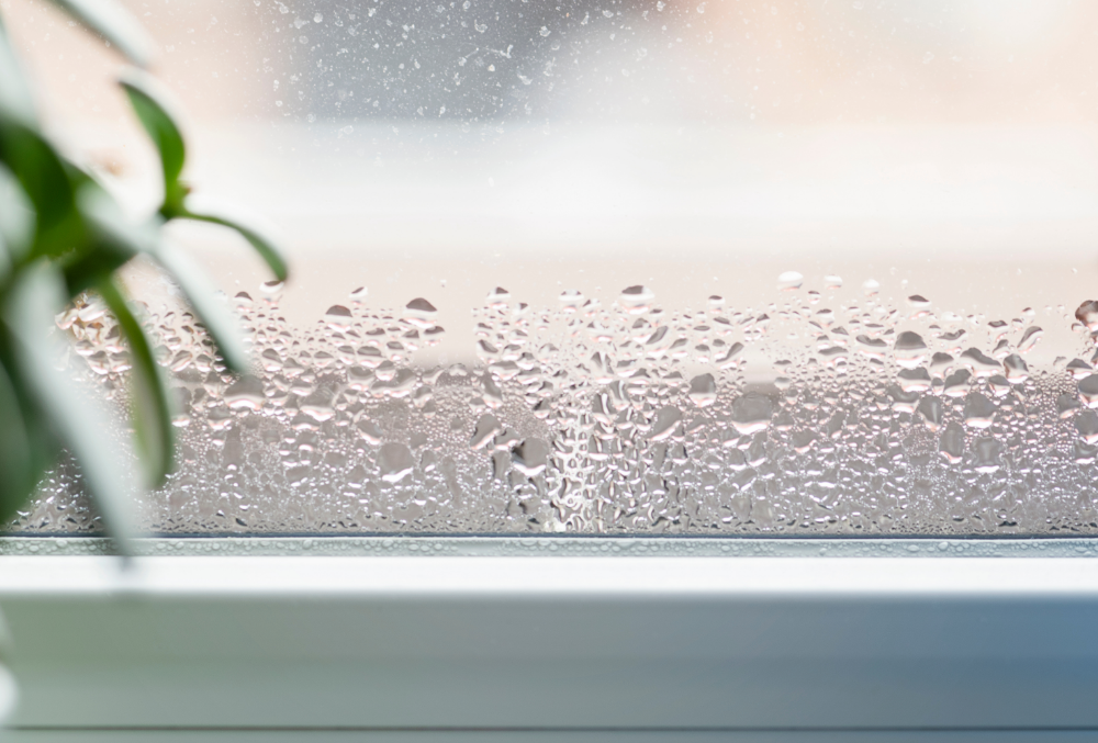 a home without a dehumidifier will have moisture on the windows