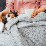 cat snuggling with human under a blanket
